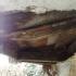 1015065_novy_svet_21_krov_jpg