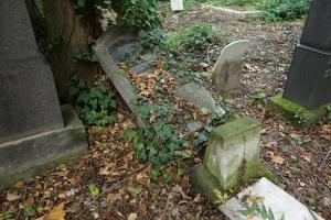 Emil Kohn 008-004-022 (1)