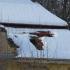 1023052_zamek_certousy_2_jpg