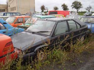 c_195_citroen_bx_set_jpg