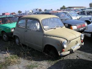 x144_i_fiat_1000_zelenohneda_jpg