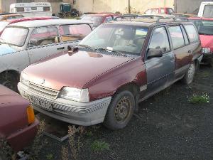 x281_i_opel_kad_vinova_jpg
