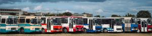 Letná - Autobusový den