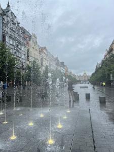 IMG_0562
