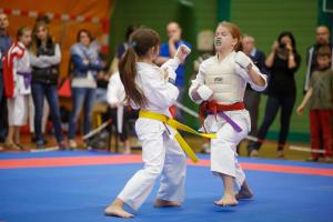 MCR_karate_2016_Kozak_56