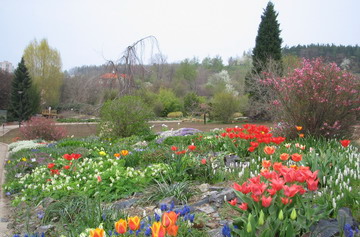 image_95_27_v1.jpg